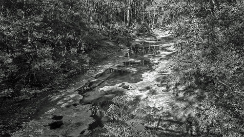 pentax k1 smcpentaxda1650mmf28 landscape creek flaggycreek pools bushland selfie shadow monochrome blackandwhite yuelarbahtrack glenrock newcastle