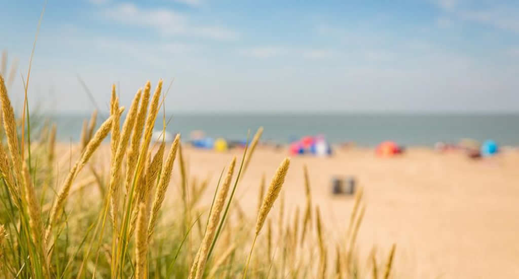 Beaches in The Netherlands | Your Dutch Guide