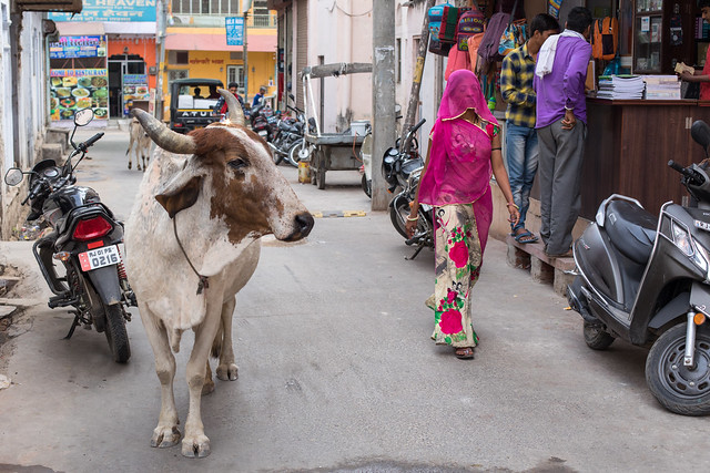 The Streets, Pushkar