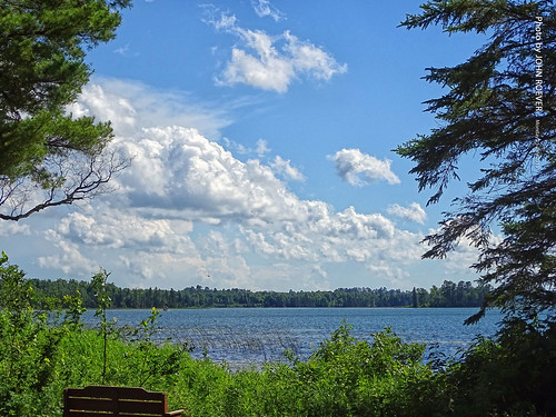 minnesota 2019 july july2019 vacation roadtrip 2019vacation 2019roadtrip minnesota2019roadtrip minnesota2019vacation clearwatercounty itasca lakeitasca itascastatepark park statepark lake lakes lakeshore shore trees tree forest forests woods afternoon usa