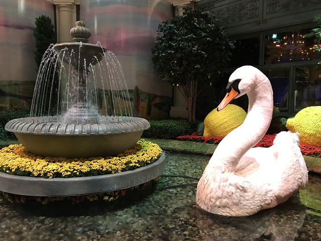 Bellagio, swan, fountain display