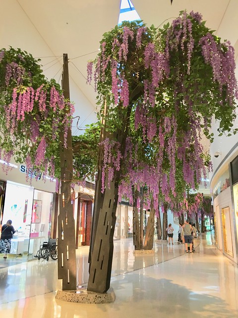 Trees inside Aria Mall