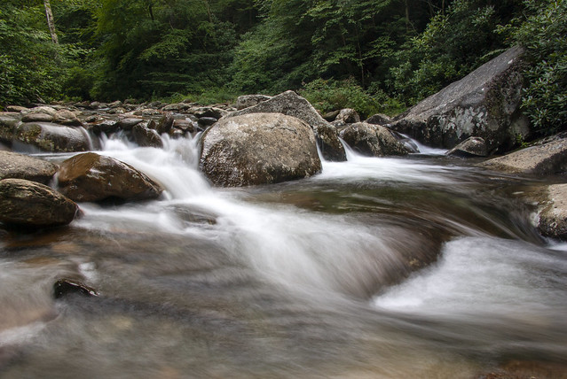 West Prong of the Little Pigeon River, Great Smoky Mountains National Park, Sevier County, Tennessee
