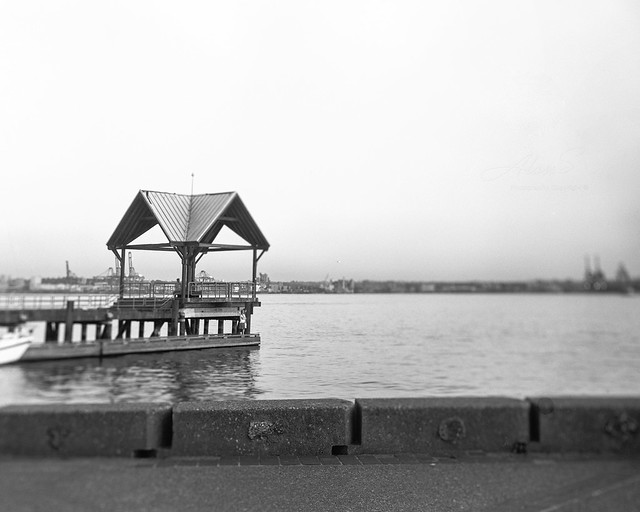 Waterfront - Film Sinar