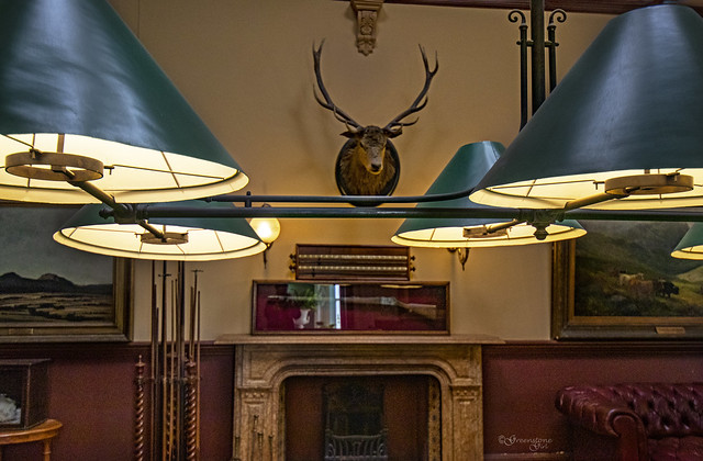 Stag and lamps