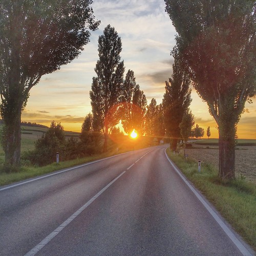 CRUISIN by VINCENT MOYASHI, sunset sun road trees tree austria flickr summer
