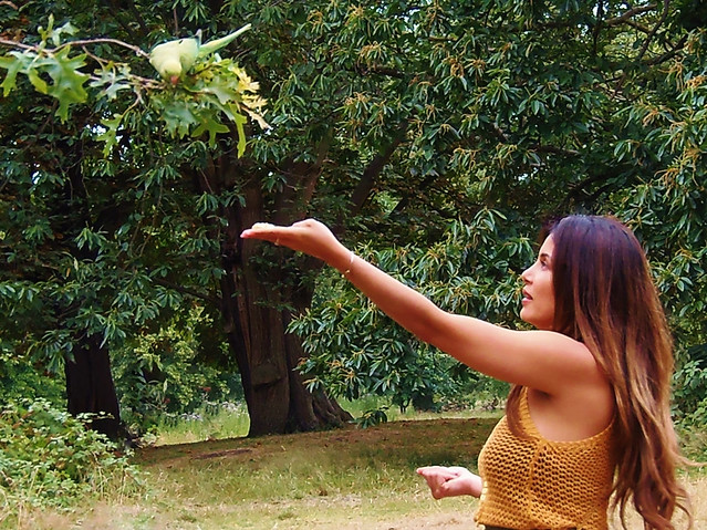 Girl feeding an Indian Ring-Necked Parakeet - Kensington Gardens, London @ 17 July 2019