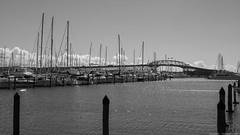 Harbour Bridge - St Marys Bay - Waterfront - Auckland
