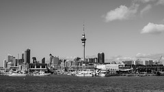 Auckland CBD - St Marys Bay - Waterfront - Auckland