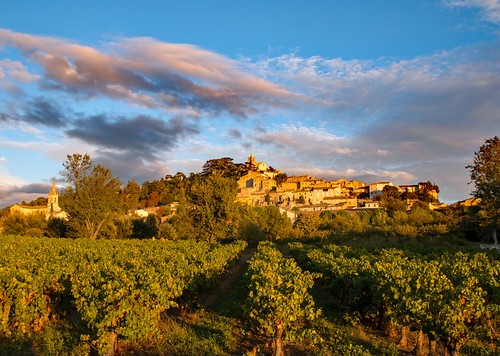 france provence bonnieux vineyard sunset