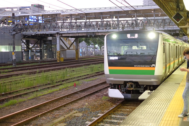 Train 13 宇都宮線 快速ラビット (宇都宮～上野) Rapid Rabbit