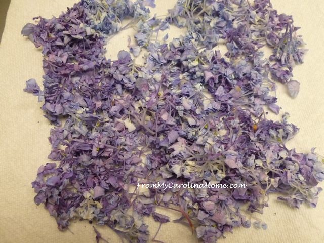 Drying Flowers at FromMyCarolinaHome.com