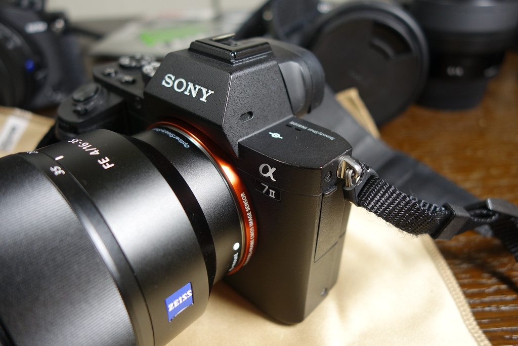 SONY FE 16-35mm F4 ZA OSS SEL1635Z Eマウント | myglobaltax.com
