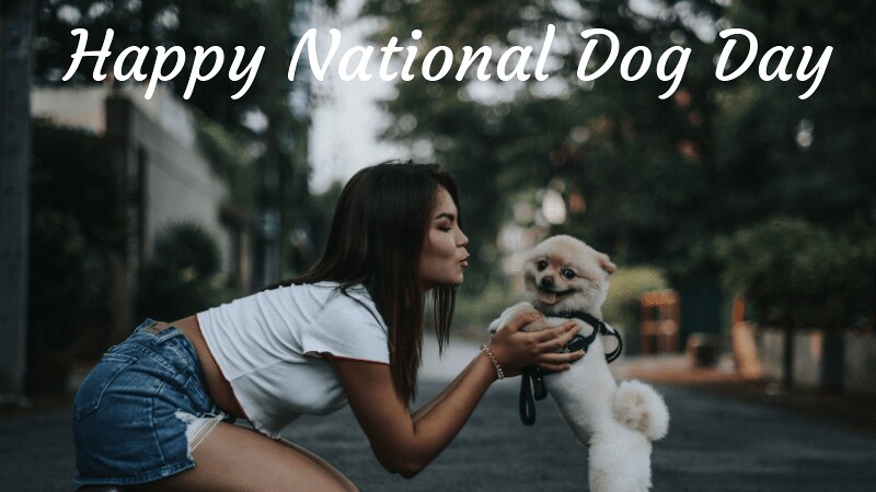 national dog day images 