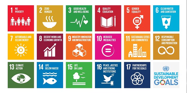 I sustainable development goals e gli obiettivi per un futuro ecosostenibile