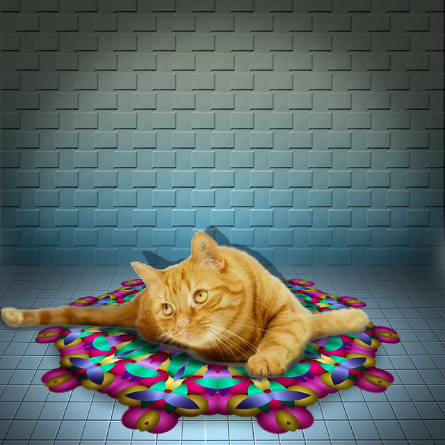 My favorite rug