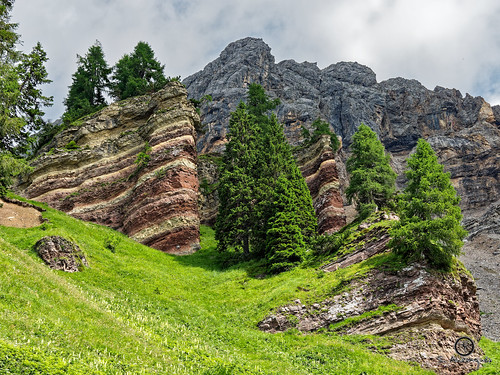 nature mountain landscape forest summer tree green panorama outdoors rock peak travel mountains meadow view dolomites dolomiti