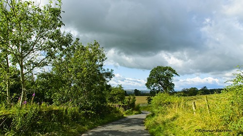 on1 on1pics irvinevalley eastayrshire ayrshire art landscape landscapes photography rcb4j ronniebarron scotland sony1650mmf28dtssm sonydt1650mmf28ssmsal1650 sonyslta77v sonyalpha countryroads valleyviews