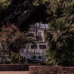 Trees, cars and ships