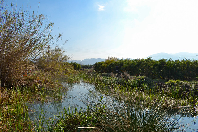 Río Bullent, Pego (Alicante)