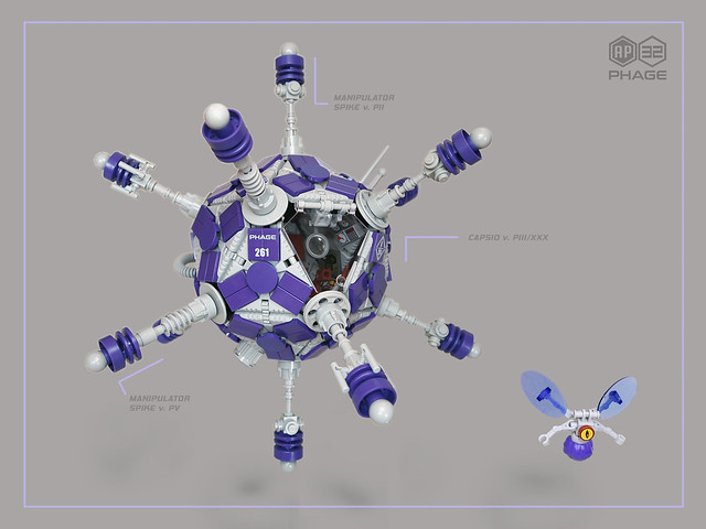 Construction Unit AP32 Phage