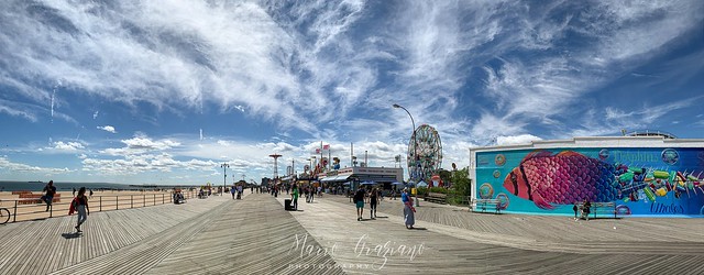 Overview of the Coney Island waterfront