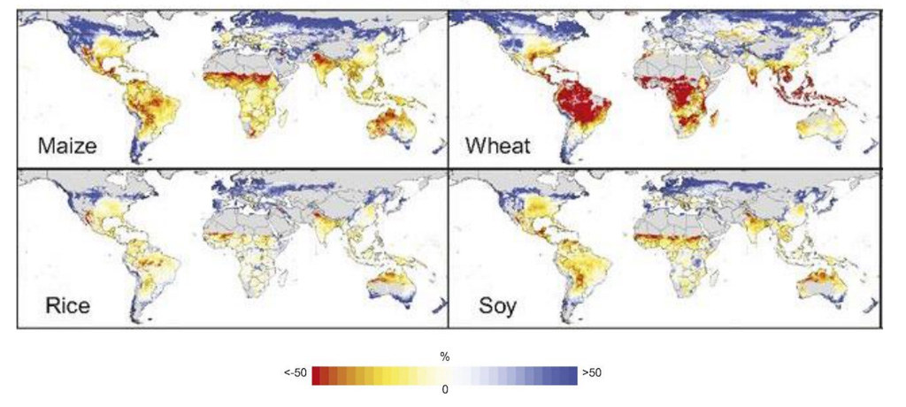 在嚴重氣候變遷情境（RCP8.5）下，2070~2099年間，玉米、小麥、水稻和大豆產量中位數與1980~2010年的比較。紅色表示產量下降50％，藍色表示增加50％，灰色表示未種植作物的區域。資料來源：IPCC土地報告，圖5.4。