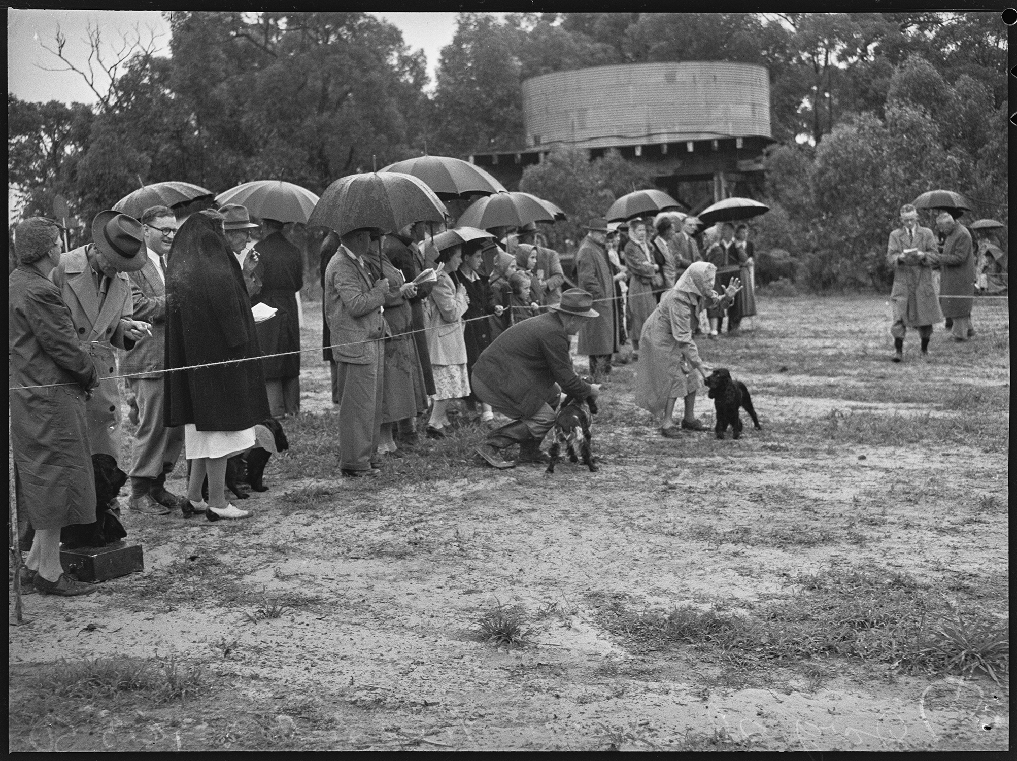 St. Ives Dog Show, 18 March, 1950, Pix Magazine, State Library of New South Wales
