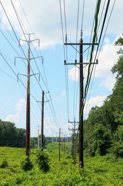 Electrical Poles