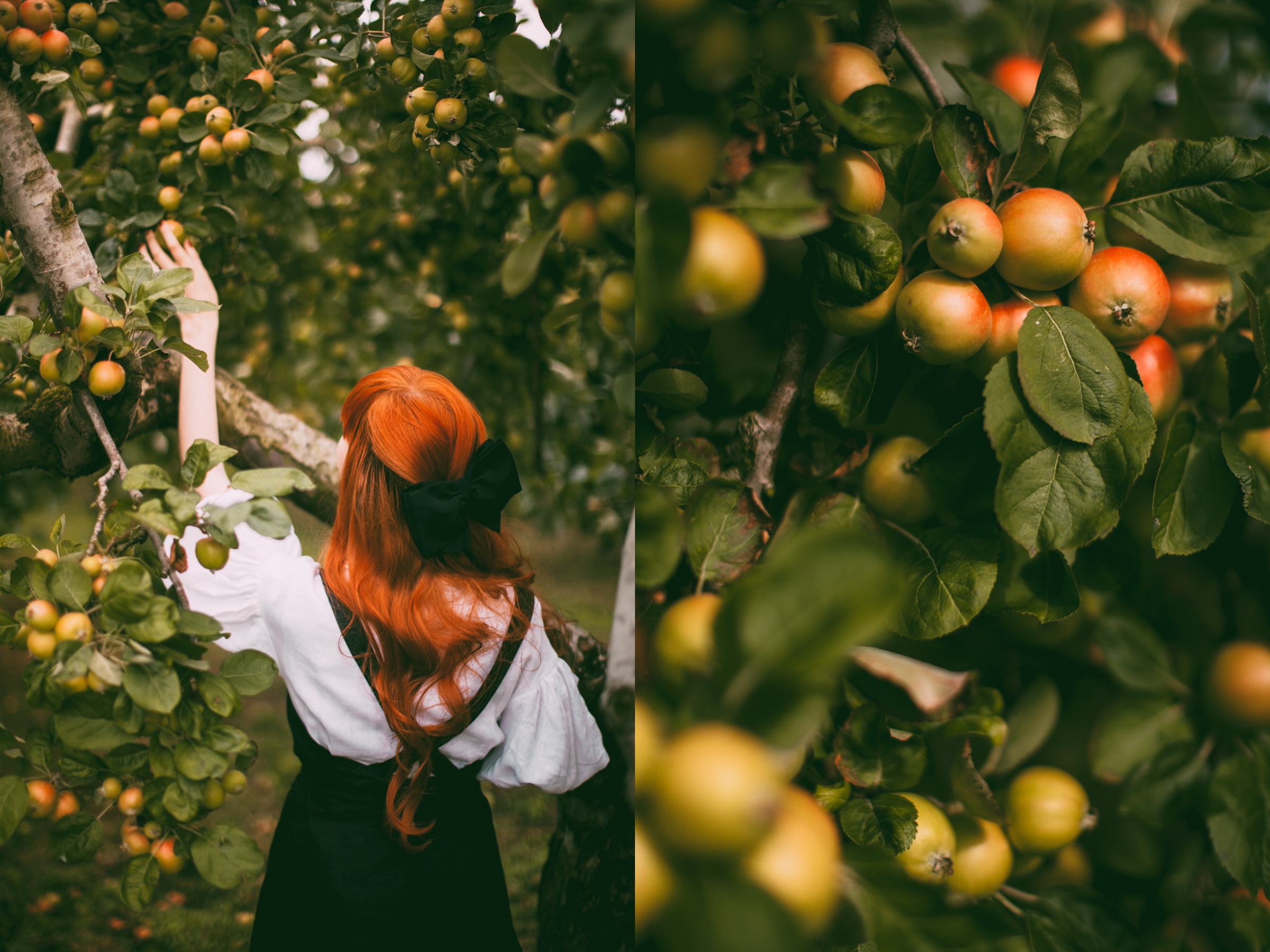 tasha tudor orchard-11-side