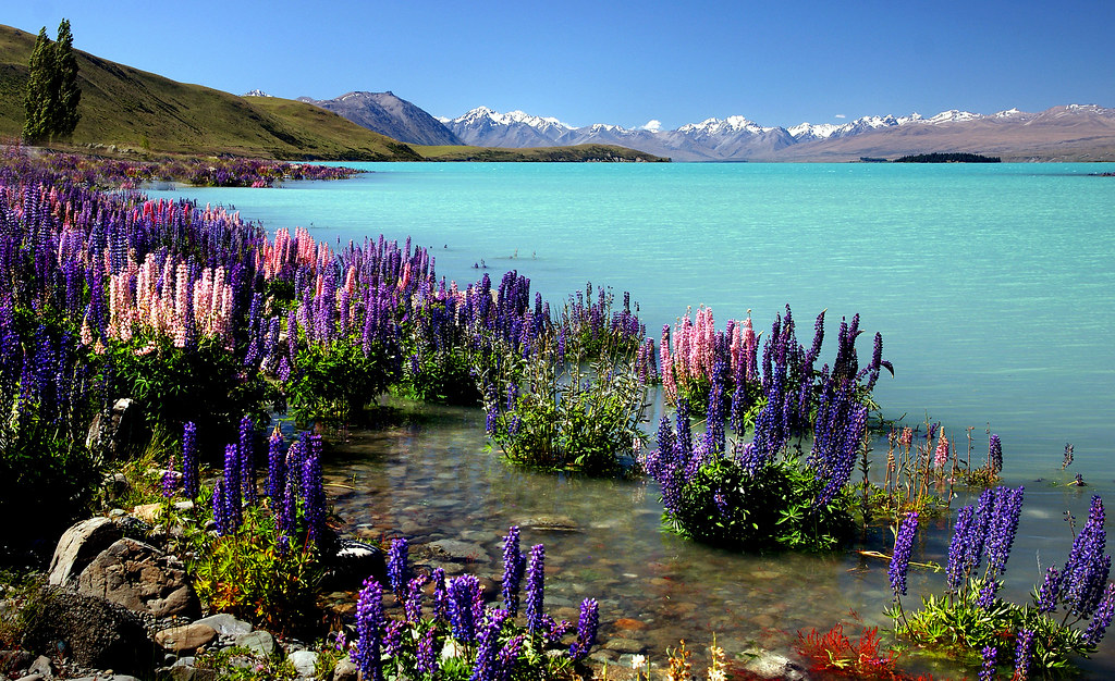 Lake Tekapo, in New Zealand, is the most romantic place in the world