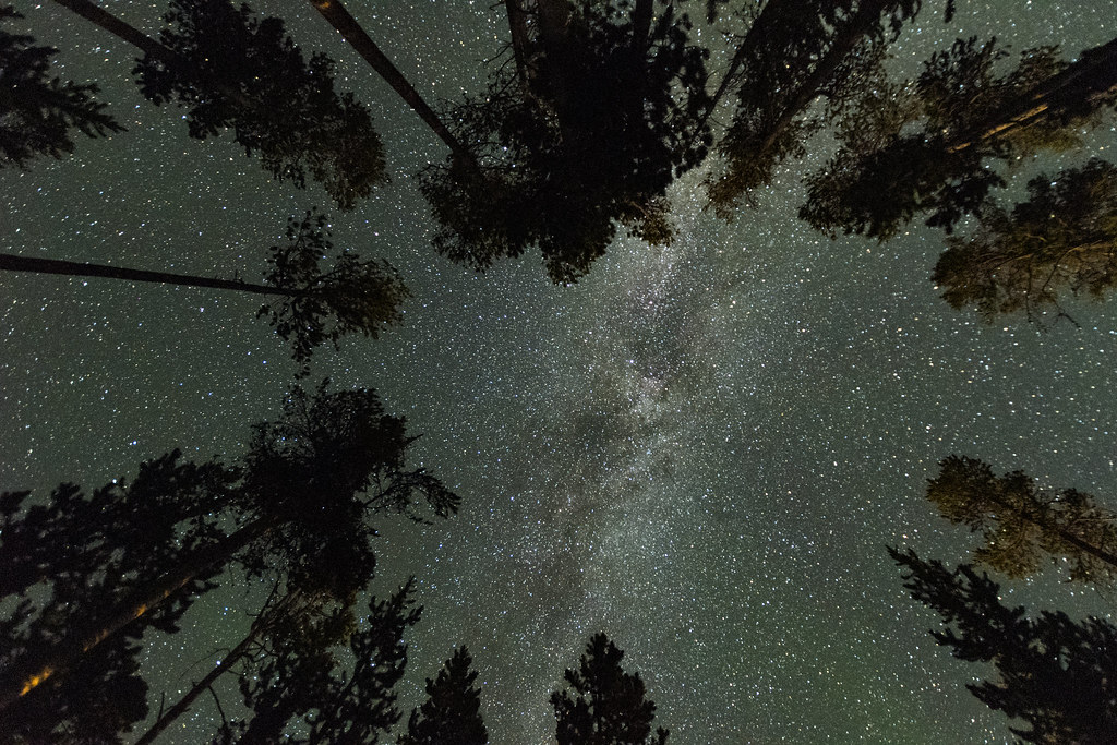 Night Sky in Yellowstone