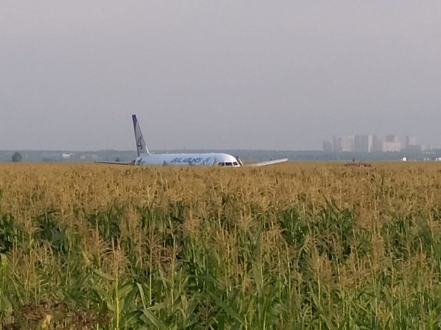 Самолет Уральских авиалиний совершил экстренную посадку в поле кукурузы