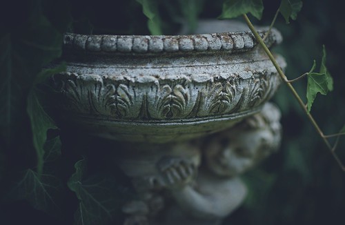 Hidden... | by esterc1