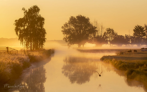 betuwe dutch dawn holland landscape nature vuren heukelum spijk betuwefotograaf sunrise fog mist