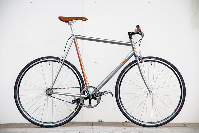 *AFFINITY CYCLES* lo pro (L)