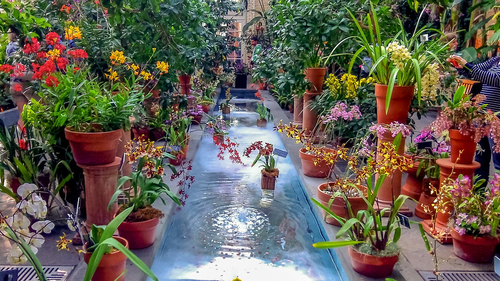 U.S. Botanic Garden, Washington, D.C. Orchid Mystique (20… Flickr