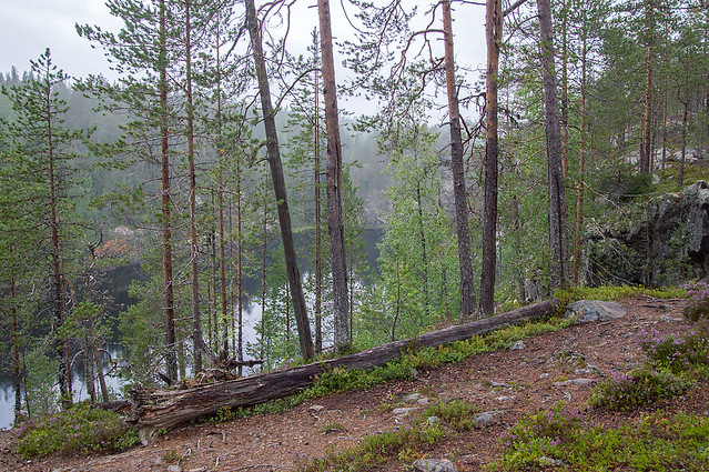 Julma Ölkky - Finland