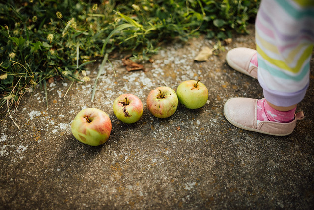 Toddler's feet and four ripe apples on the concrete. Playing with apples in the park