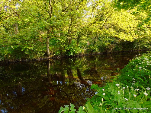 buncrana landscape millriver donegal nature reflection ireland countydonegal scenery trees inishowen