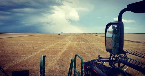 Schemper Harvesting