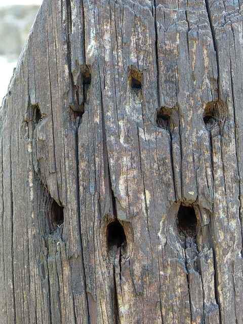 Fort Breendonk Execution Post Faces