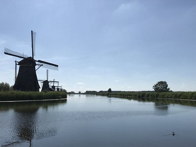 The Windmills of Kinderdijk 17