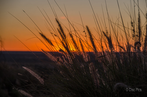 sunset towershill charterstowers queensland australia