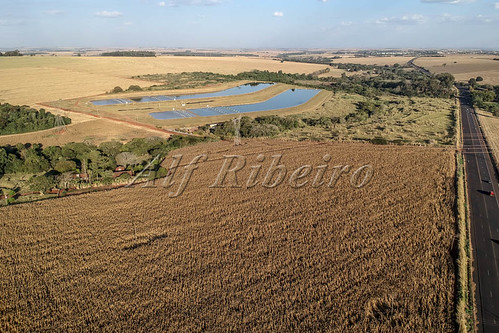 aerialview agribusiness agriculture brazil brazilian cereal corn rural water weir work agricultural autumn background bio business cob corncob crop cultivated drone dry environment farm farming farmland field food freshness grain grow growing growth harvest industry landscape maize natural nature organic outdoor plant production reservoir ripe season sweet vegetable vibrant yellow