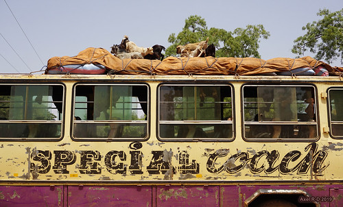 africa afrique autobus chèvrechèvres gareroutière ghana yendi