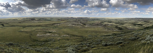 Grasslands East Block - one of many panos