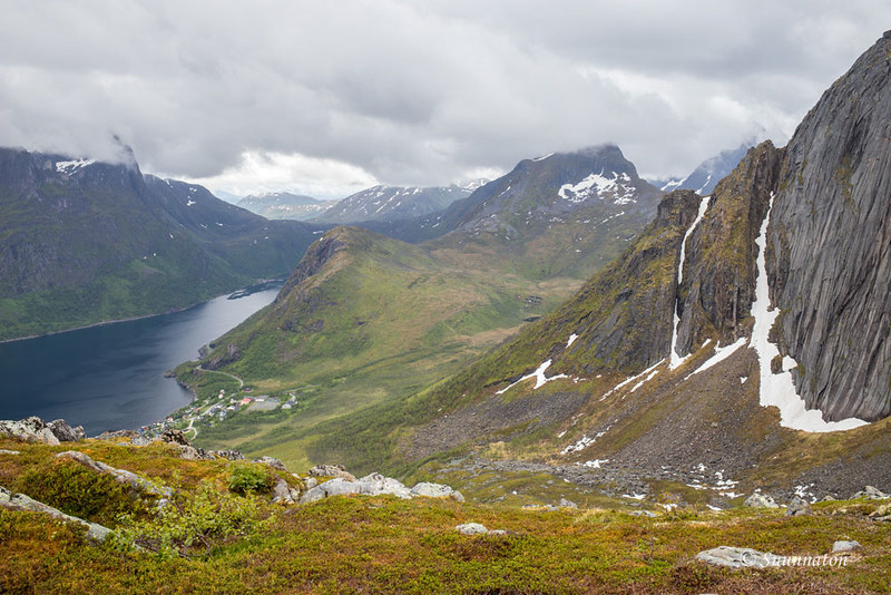 Senja, Hästen