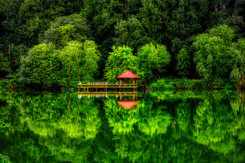 Lakefront this evening | by cj13822