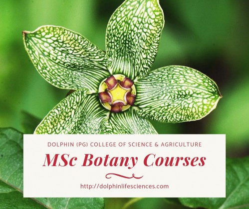 MSc Botany Courses | by Dolphin(PG) College